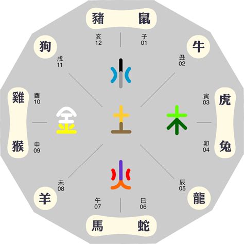 生肖 屬性|【12生肖五行屬性】揭密十二生肖五行屬性！出生年年。